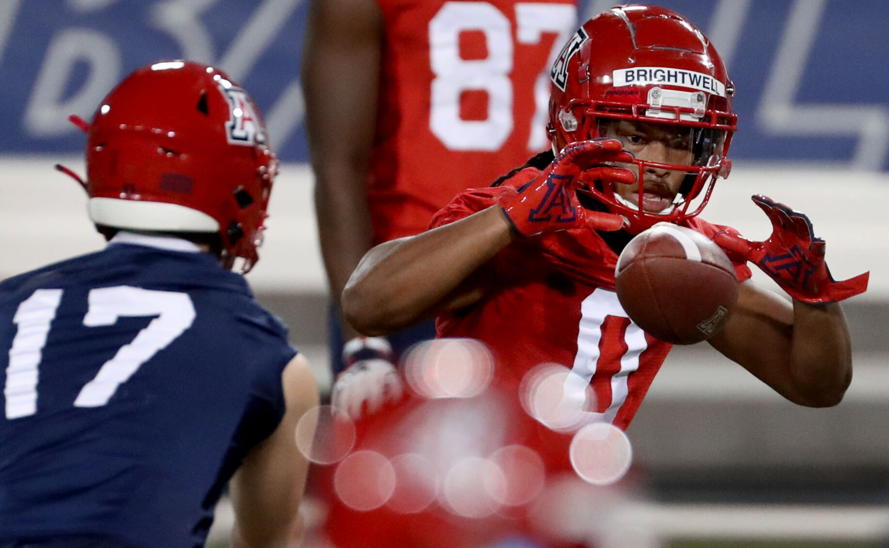 Arizona Wildcats